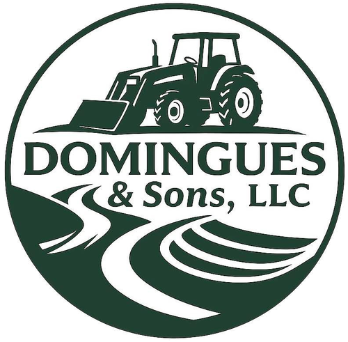 Domingues & Sons, LLC logo